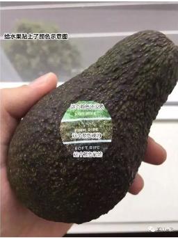 ���Ρ�����(�й���)�ٷ���վ