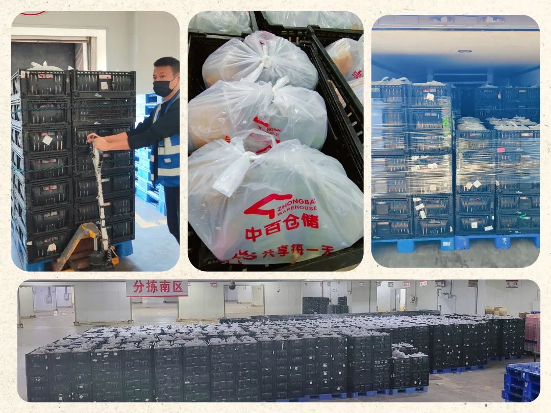币游·国际(中国游)官方网站