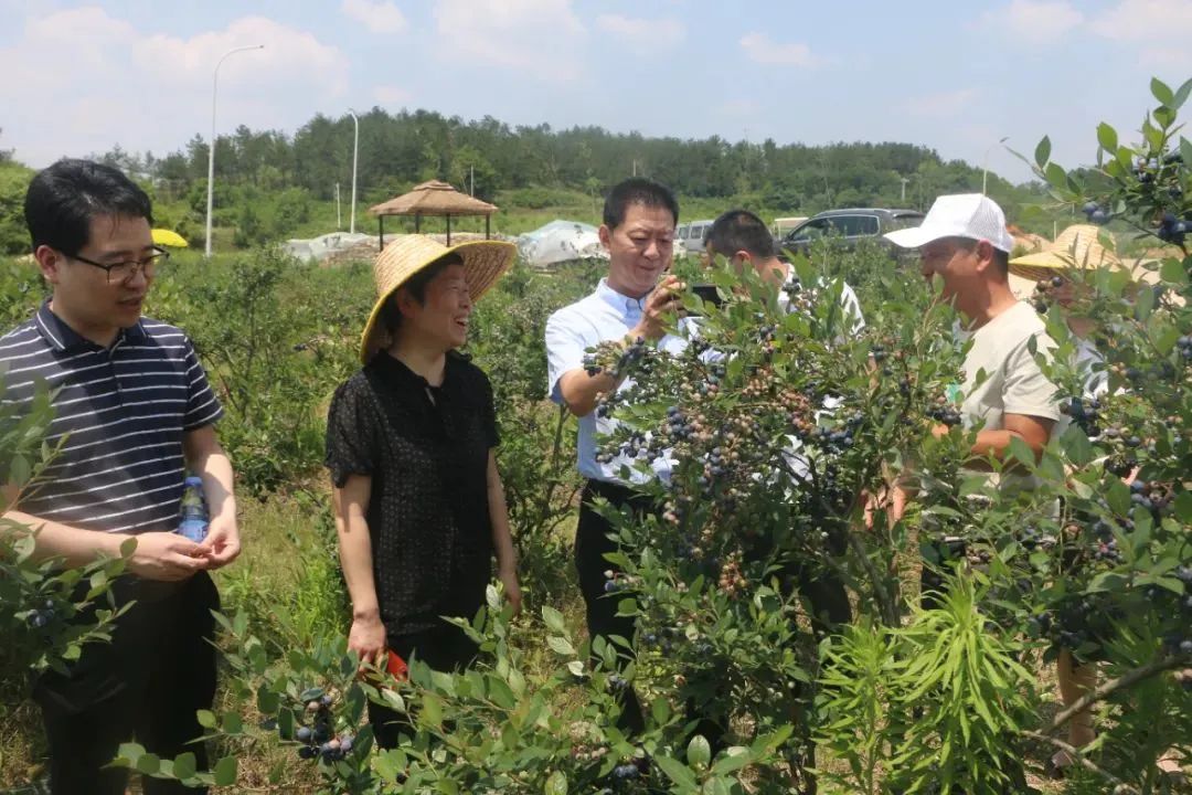 币游·国际(中国游)官方网站