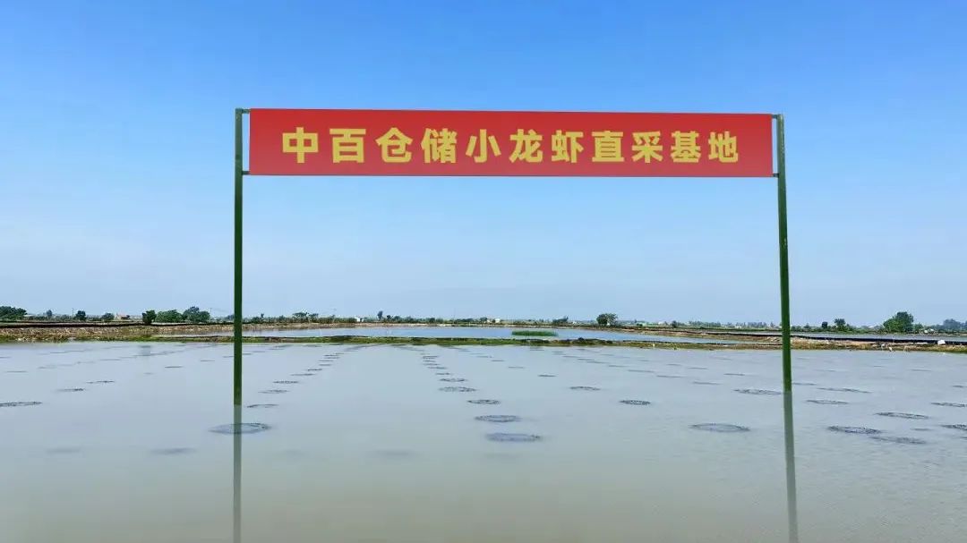 币游·国际(中国游)官方网站