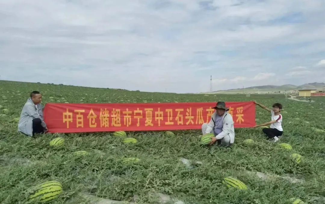 币游·国际(中国游)官方网站