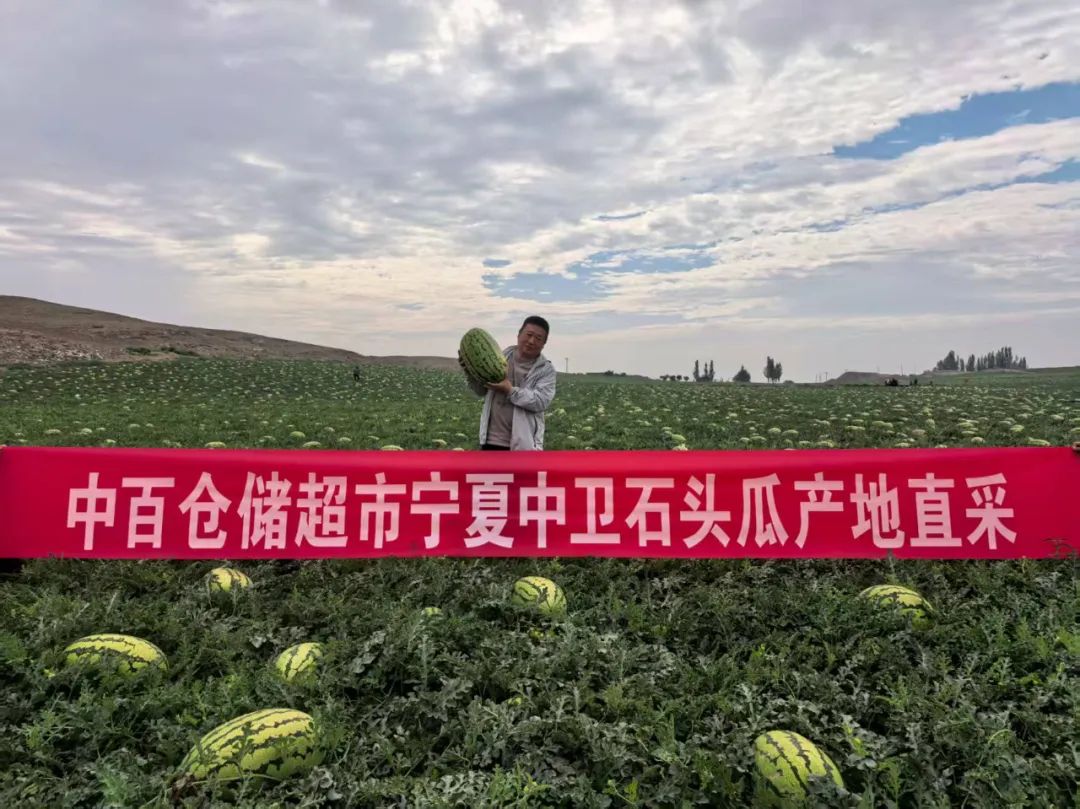 币游·国际(中国游)官方网站