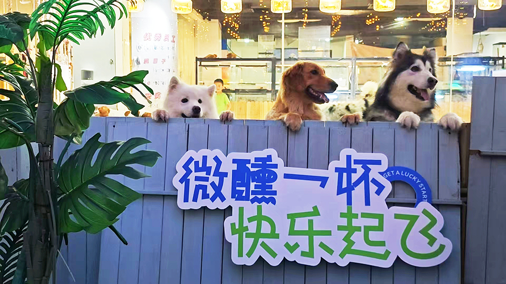 币游·国际(中国游)官方网站