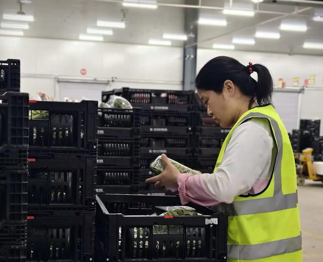 币游·国际(中国游)官方网站