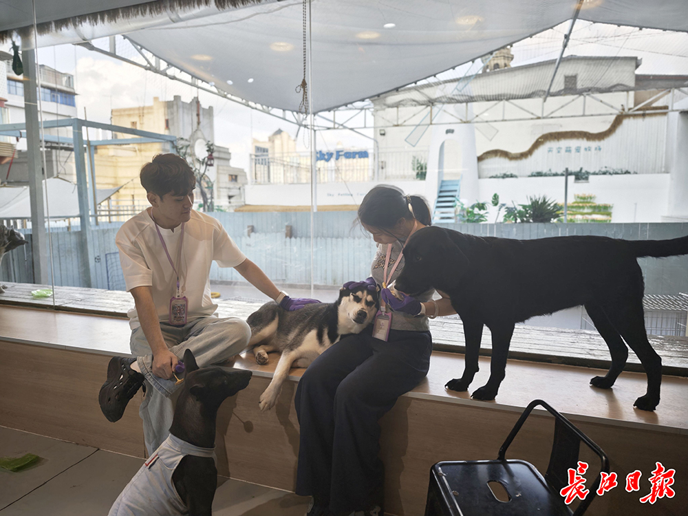 币游·国际(中国游)官方网站